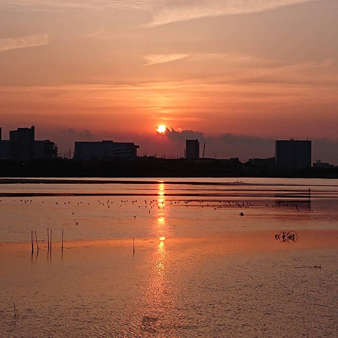 各地からの夕日・夕焼け 注目の空の写真 ウェザーニュース
