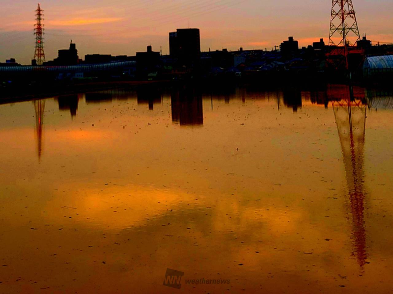 20日(金)の夕焼け 注目の空の写真 ウェザーニュース