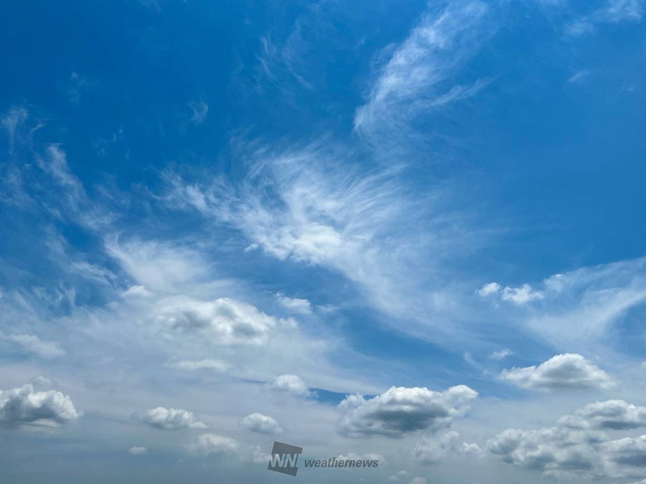 青空に映える雲 注目の空の写真 ウェザーニュース