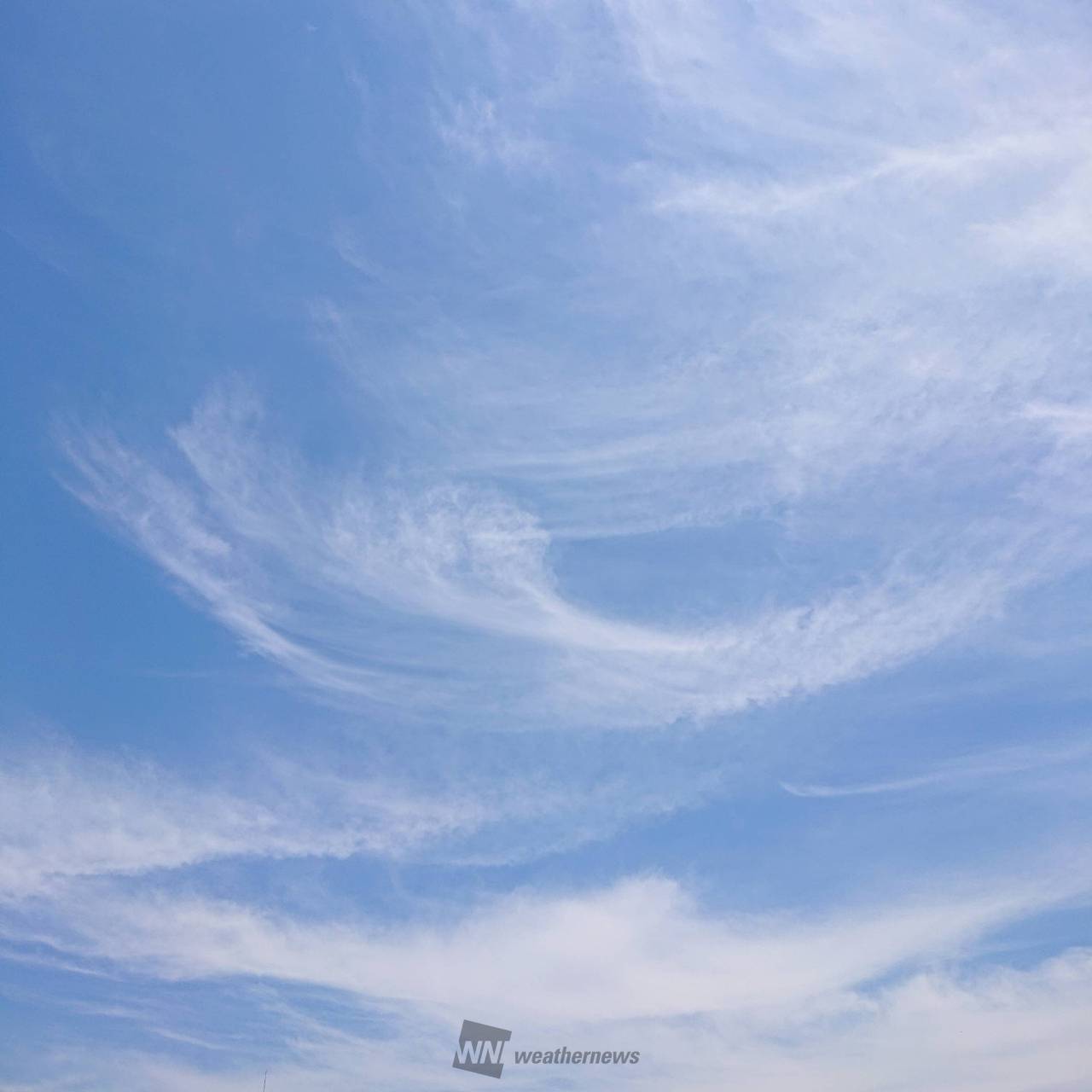 青空に映える雲 注目の空の写真 ウェザーニュース