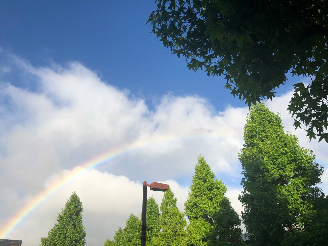 西の空に虹 注目の空の写真 ウェザーニュース