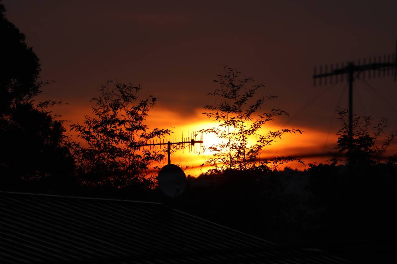 日の出写真館 注目の空の写真 ウェザーニュース