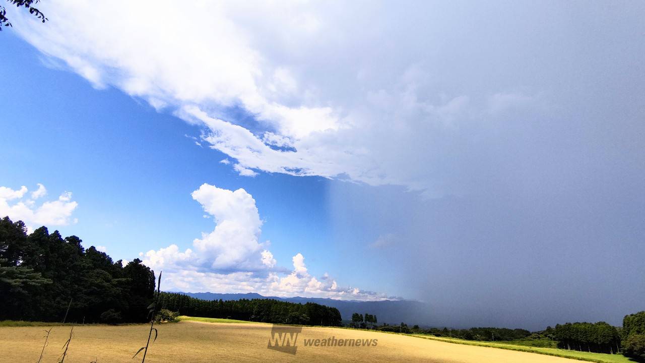 怪しい雲を追跡 注目の空の写真 ウェザーニュース