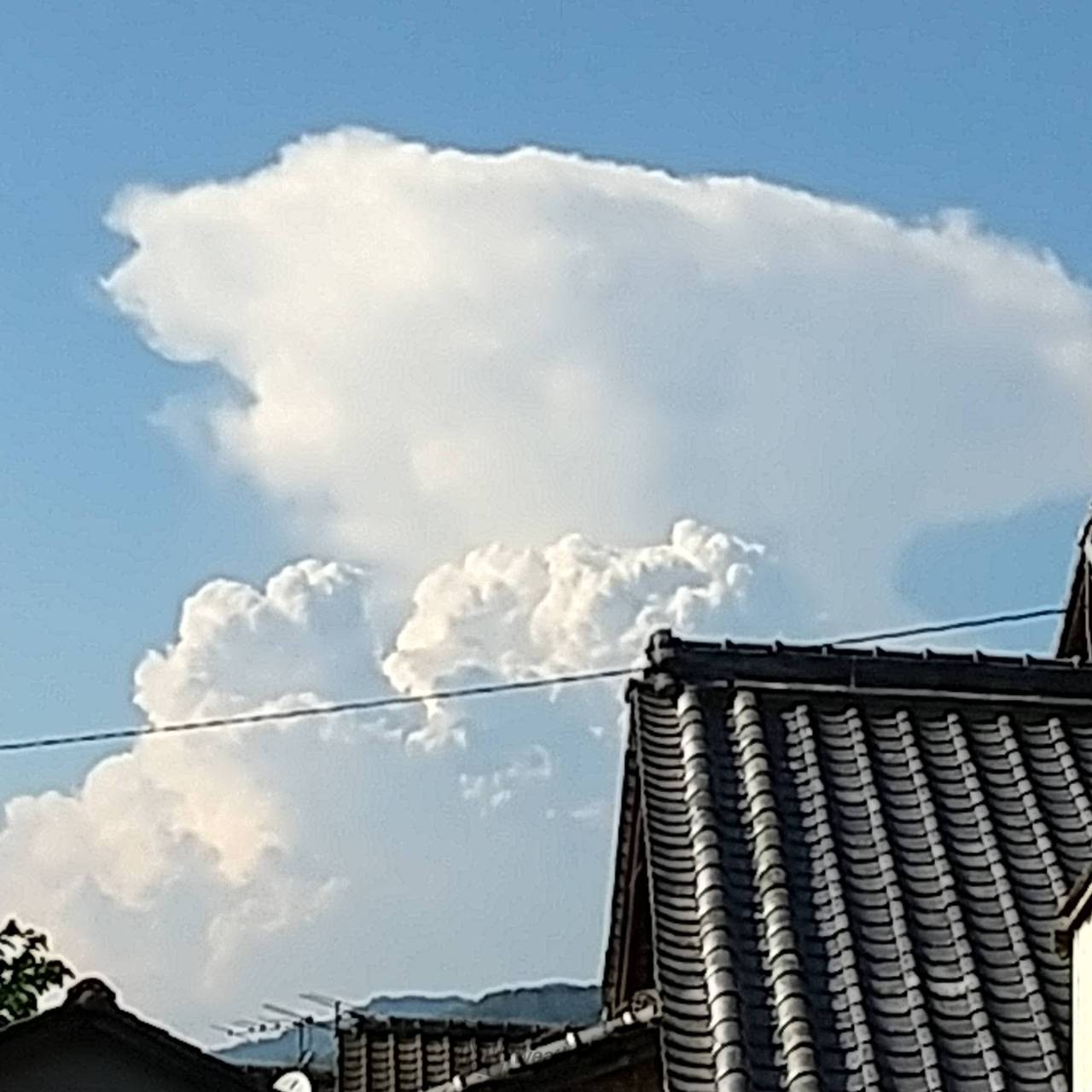 怪しい雲を追跡 注目の空の写真 ウェザーニュース