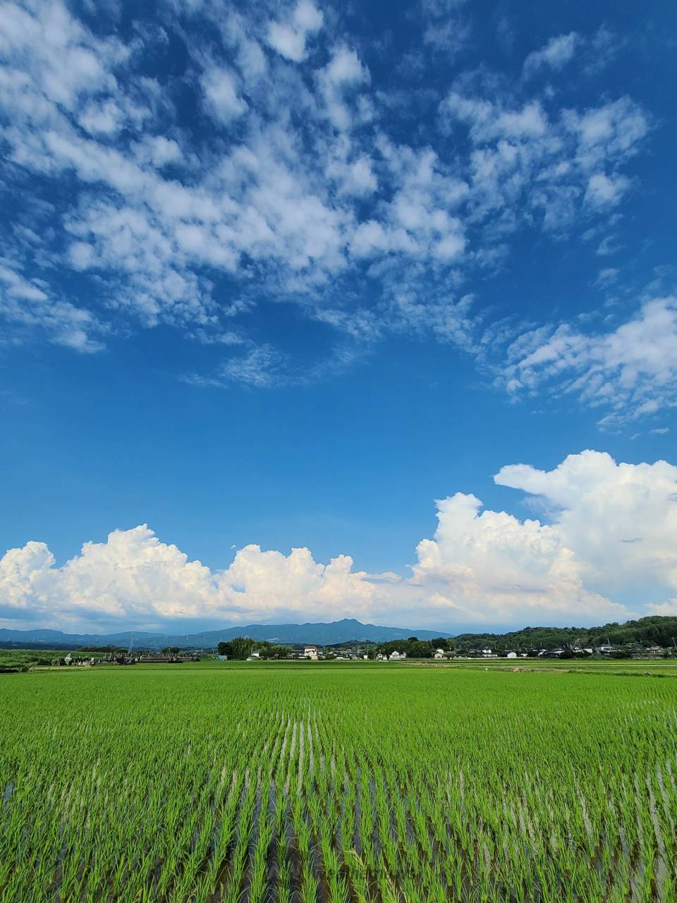 怪しい雲を追跡 注目の空の写真 ウェザーニュース