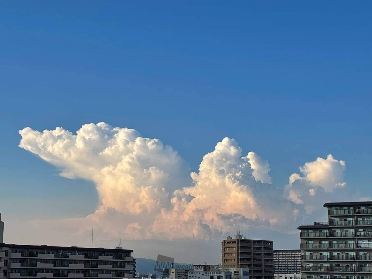 雲雲雲の下 怪しい雲を追跡 注目の空の写真 ウェザーニュース