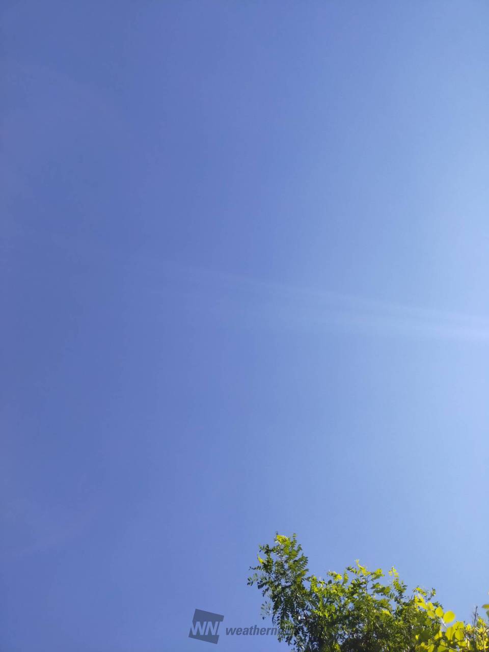 連日の夏らしい青空 注目の空の写真 ウェザーニュース