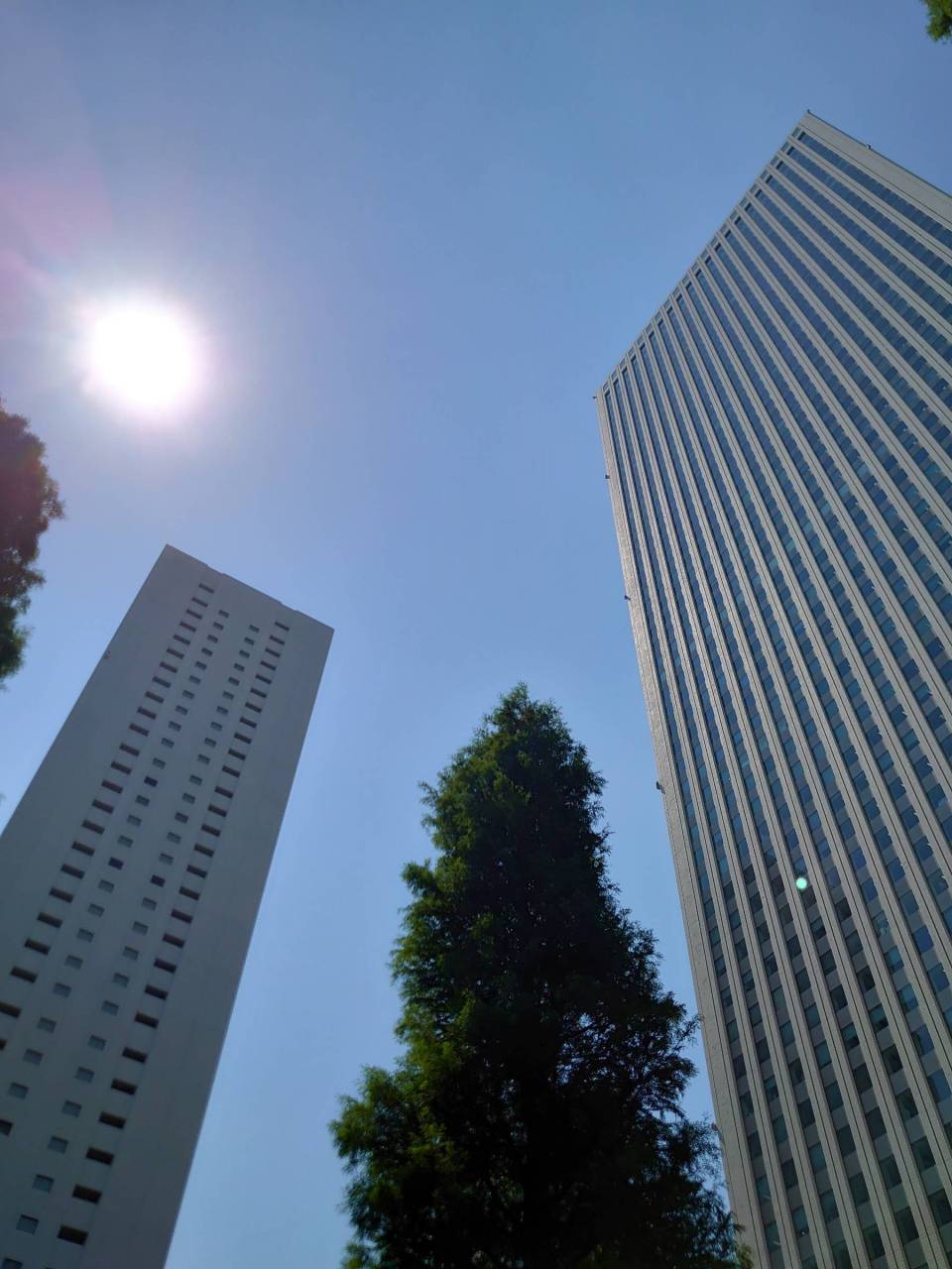 快晴☀です。日差...