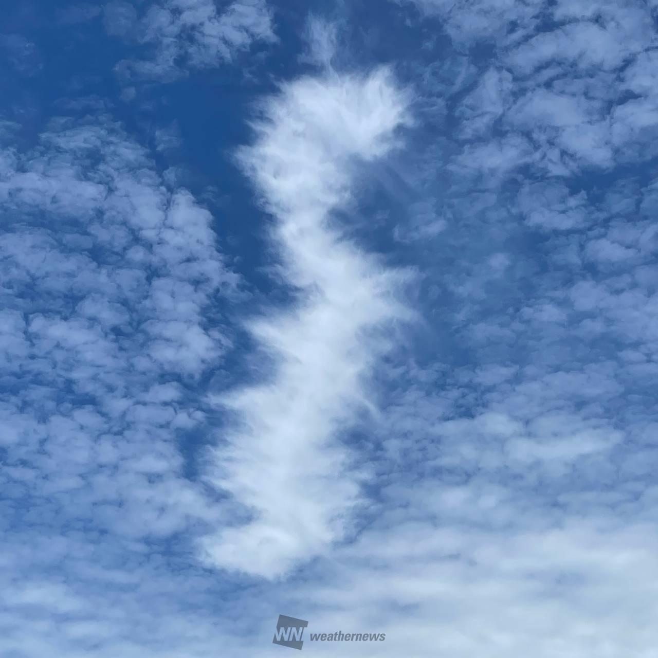 関東上空に不思議雲 注目の空の写真 ウェザーニュース