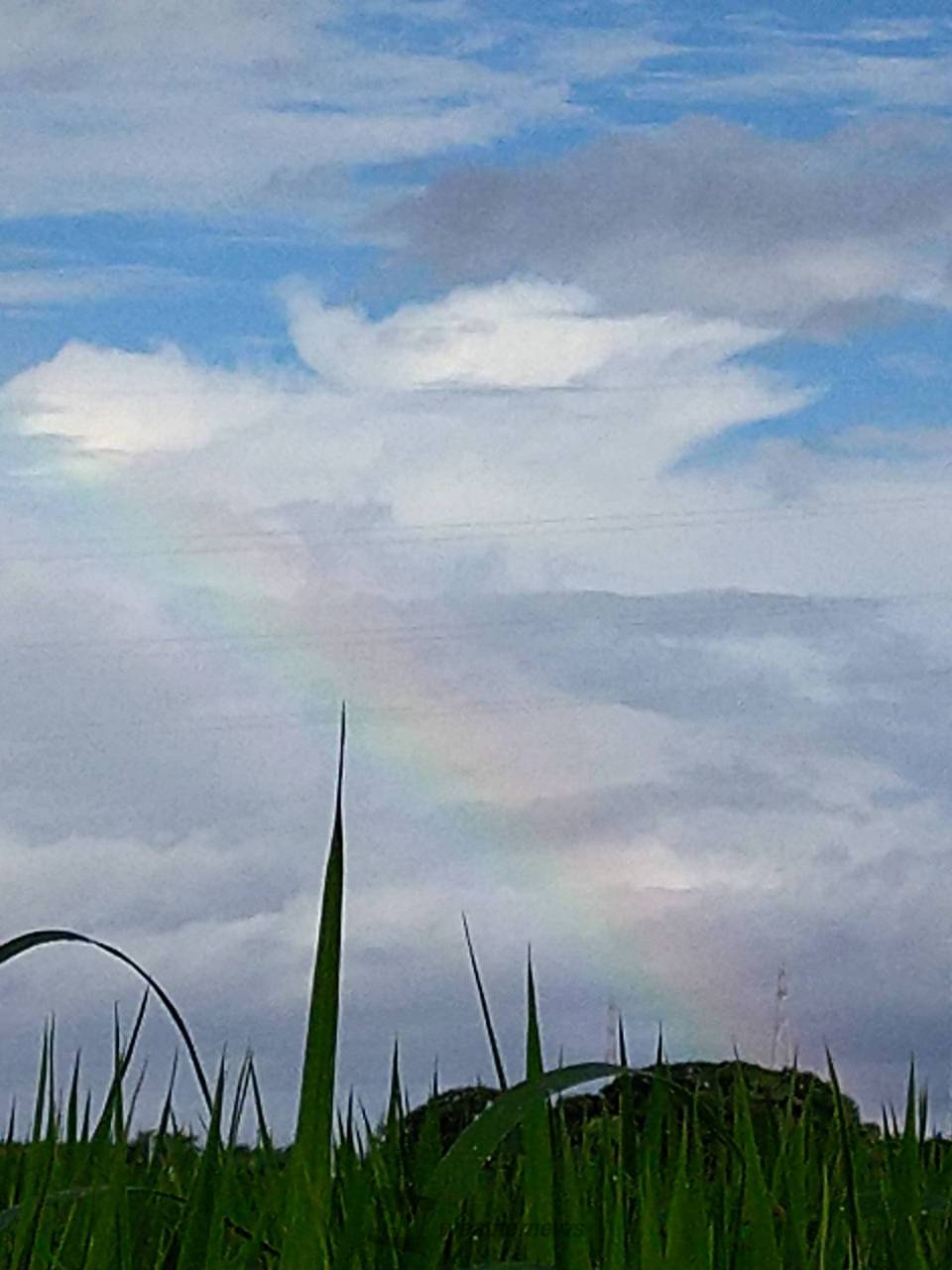 朝虹・ダブルレインボー 注目の空の写真 ウェザーニュース