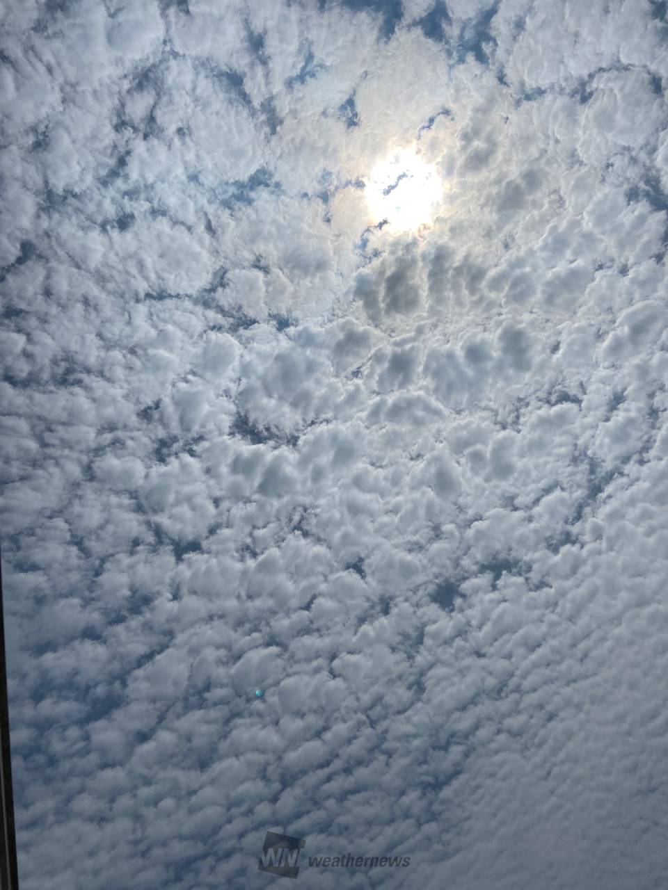 上空にポコポコ雲 注目の空の写真 ウェザーニュース