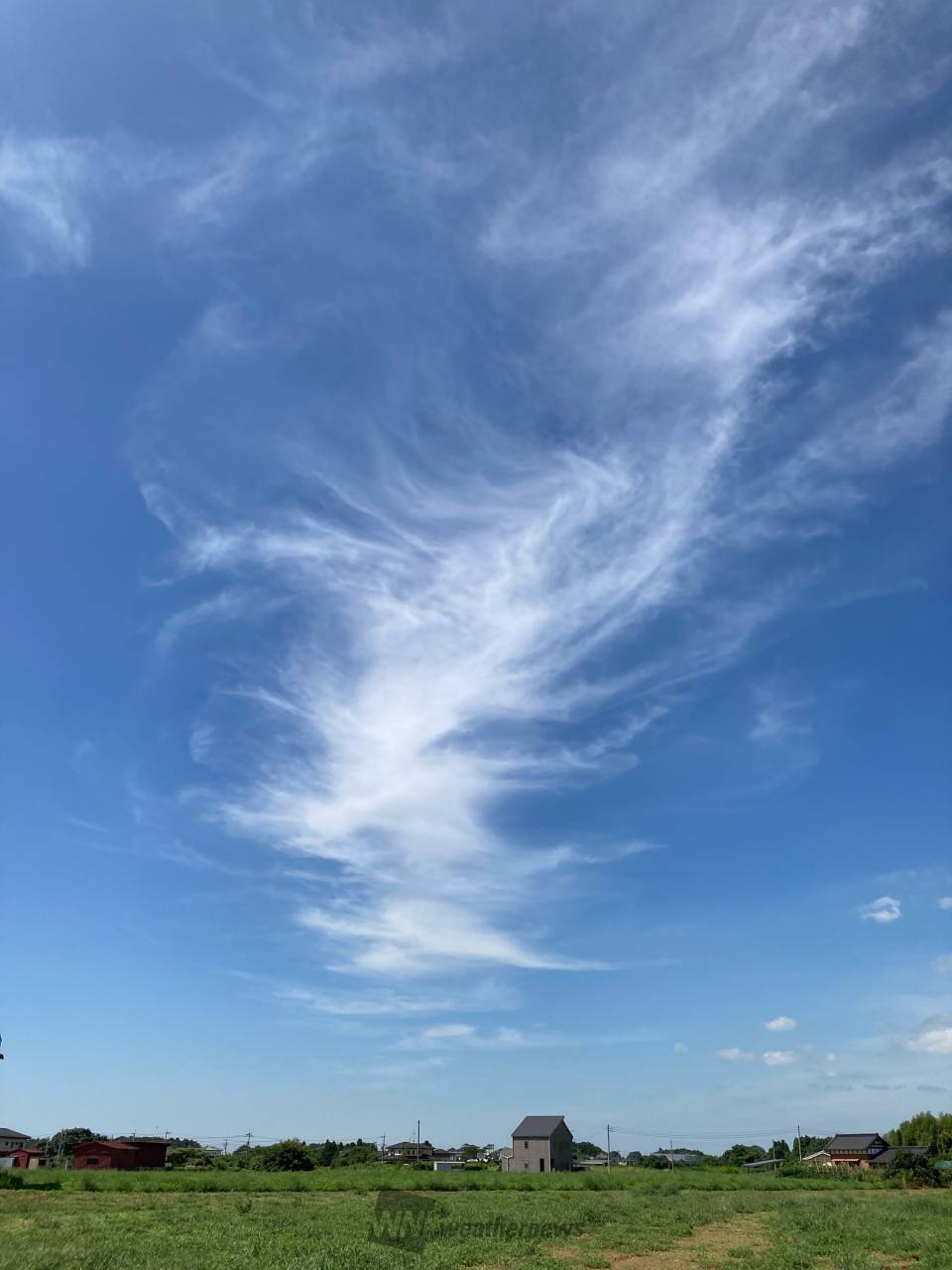 刷毛で伸ばしたような雲 注目の空の写真 ウェザーニュース