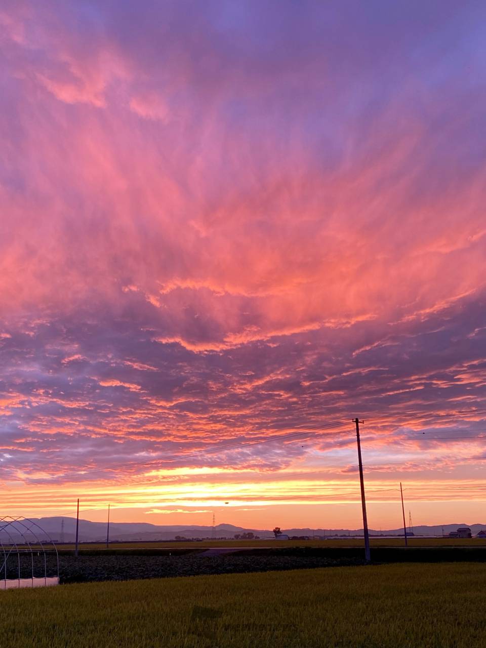 空と光の写真「綺麗な夕焼け」 夕焼け空が綺麗です。 #sky #clouds #sunset #nature #naturephotography