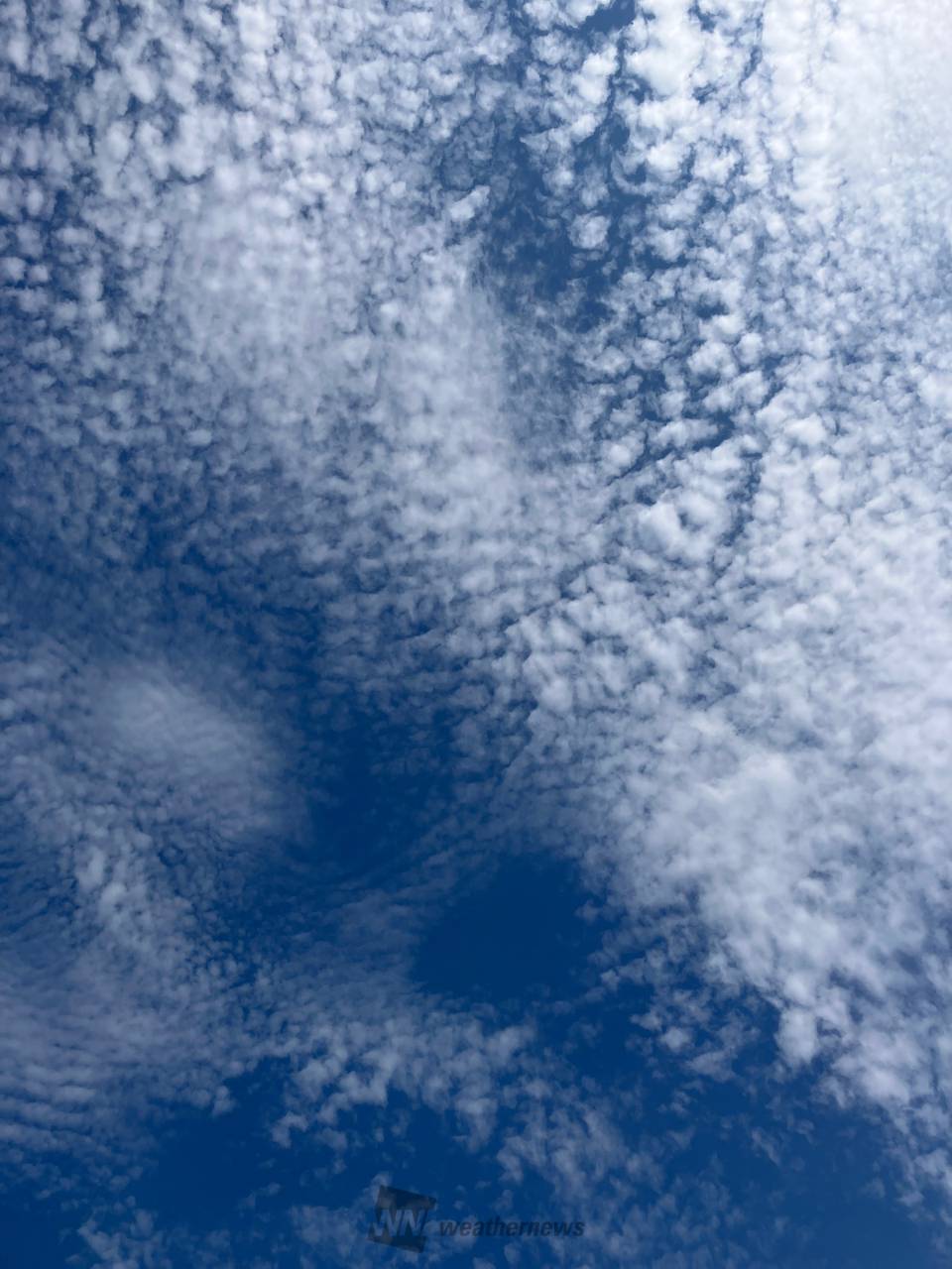 秋の雲を発見！ 注目の空の写真 ウェザーニュース