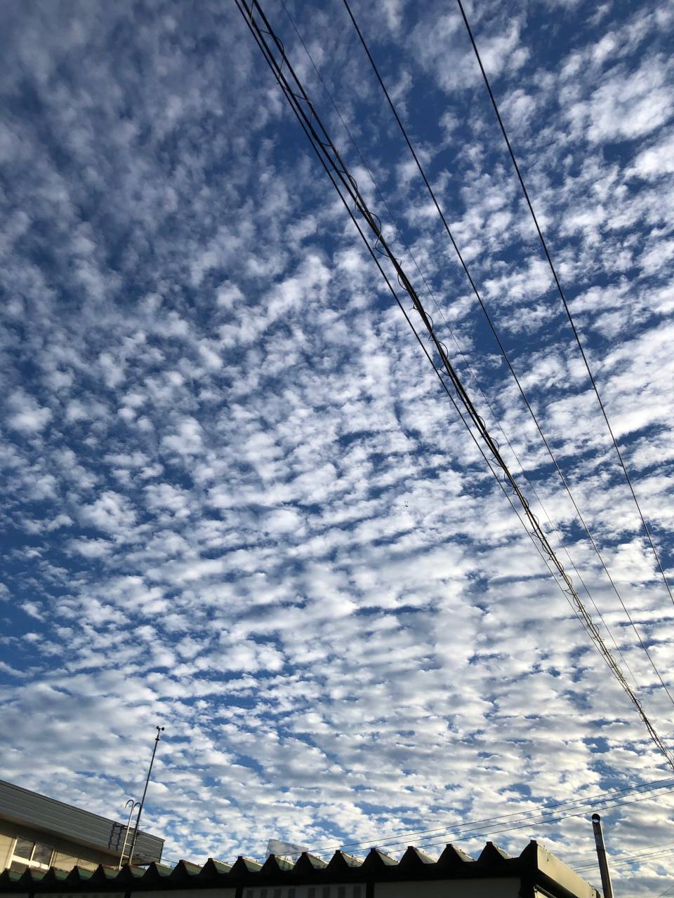 秋の雲を発見！ 注目の空の写真 ウェザーニュース