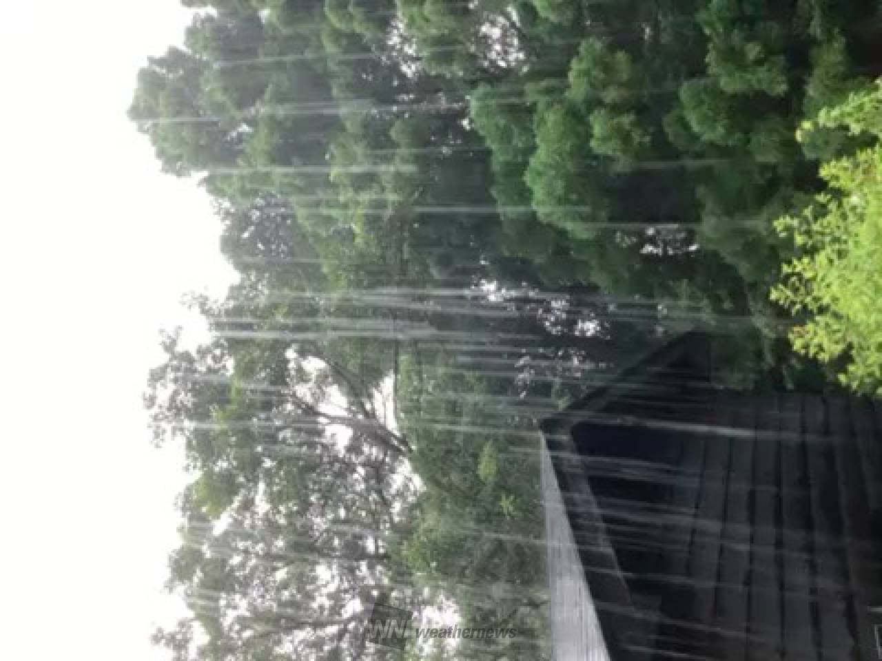 九州南部で激しい雷雨 注目の空の写真 ウェザーニュース