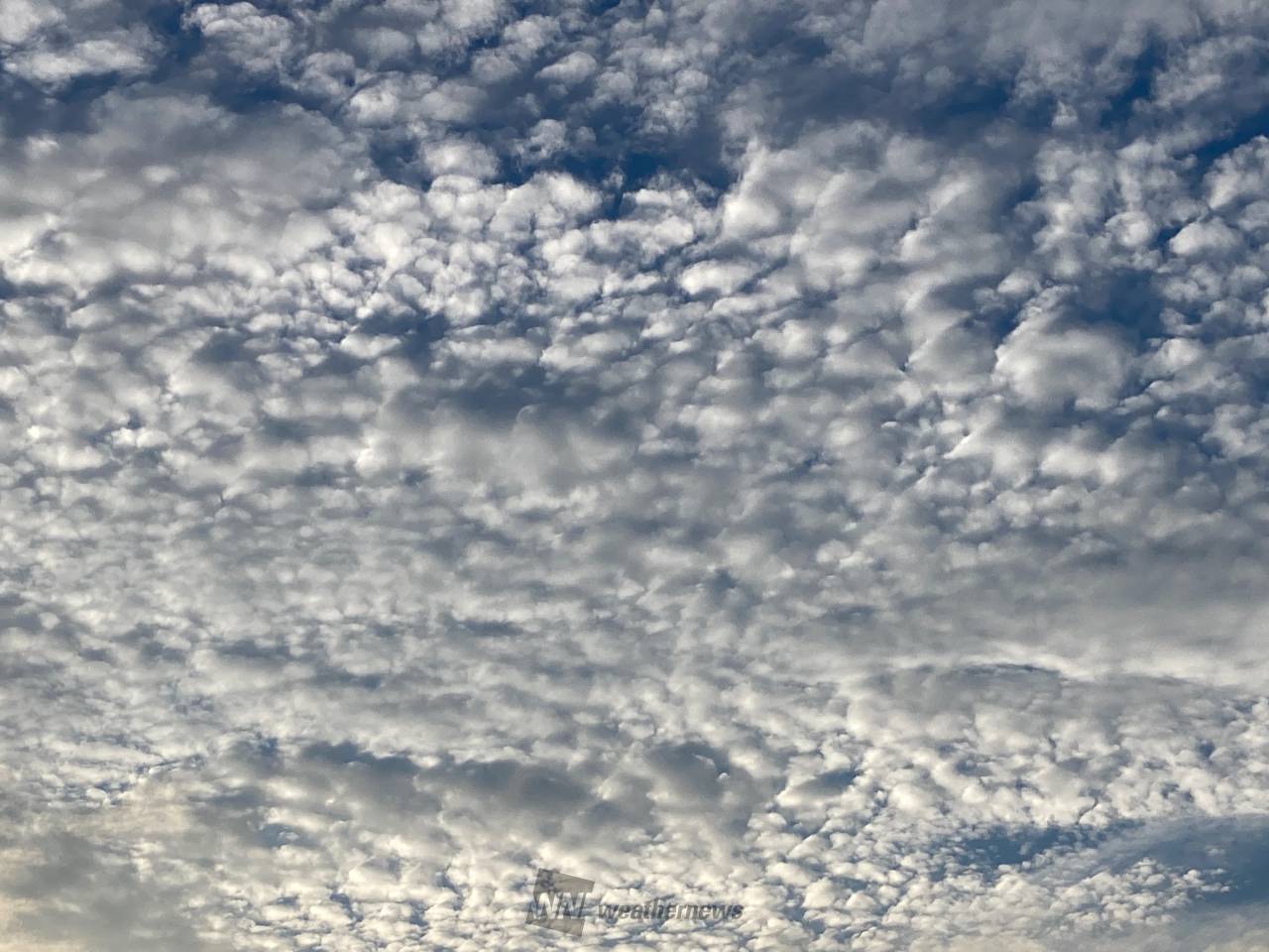 秋を感じさせる雲 注目の空の写真 ウェザーニュース