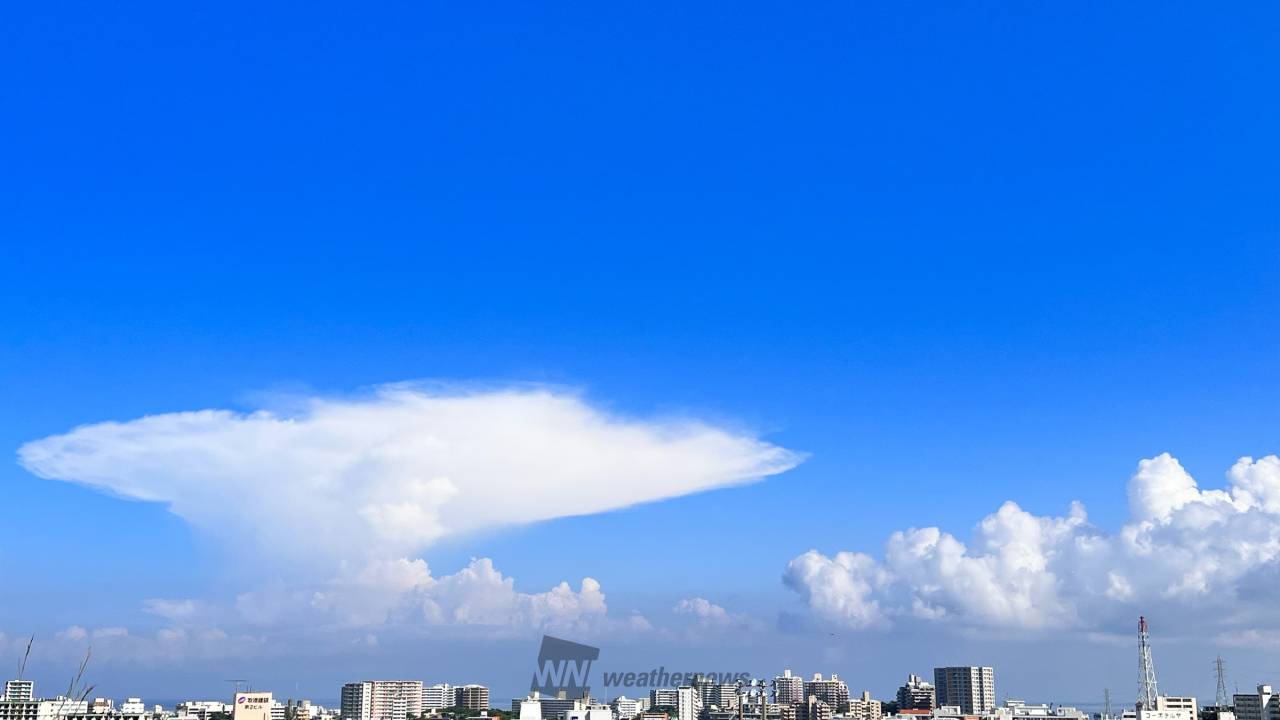 かな とこ 雲