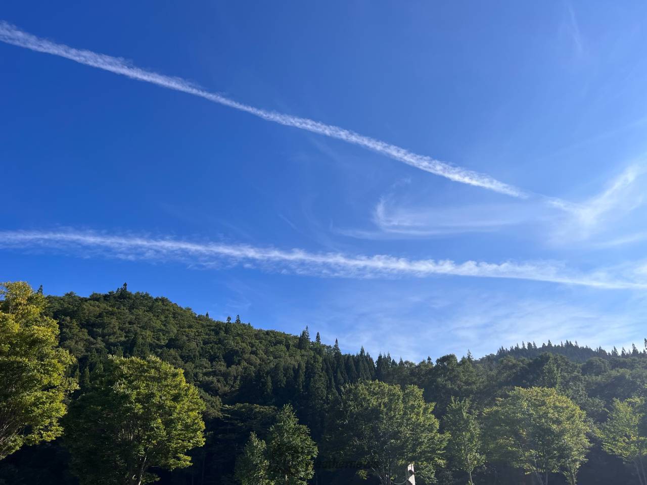 長～い飛行機雲 注目の空の写真 ウェザーニュース