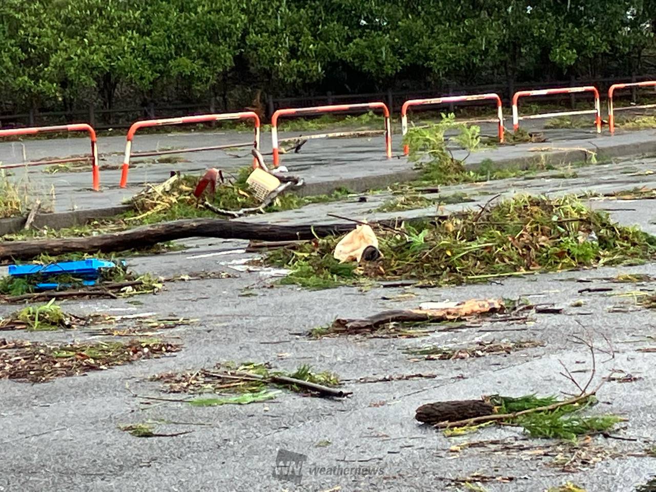 台風14号の爪痕 注目の空の写真 ウェザーニュース
