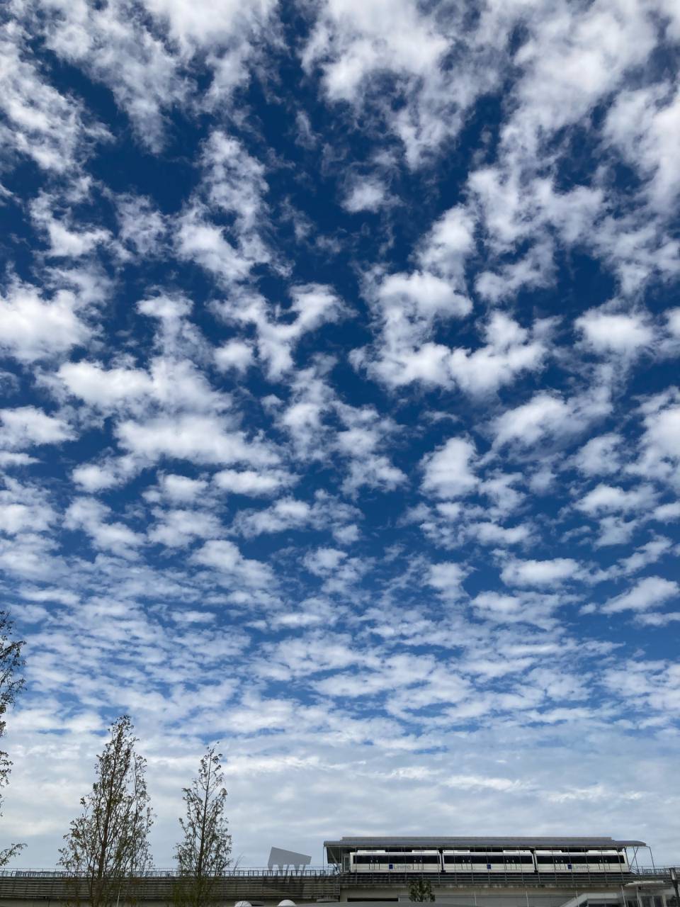 洒落雲様　ご確認用 ポコポコモコモコ秋の雲 注目の空の写真 ウェザーニュース