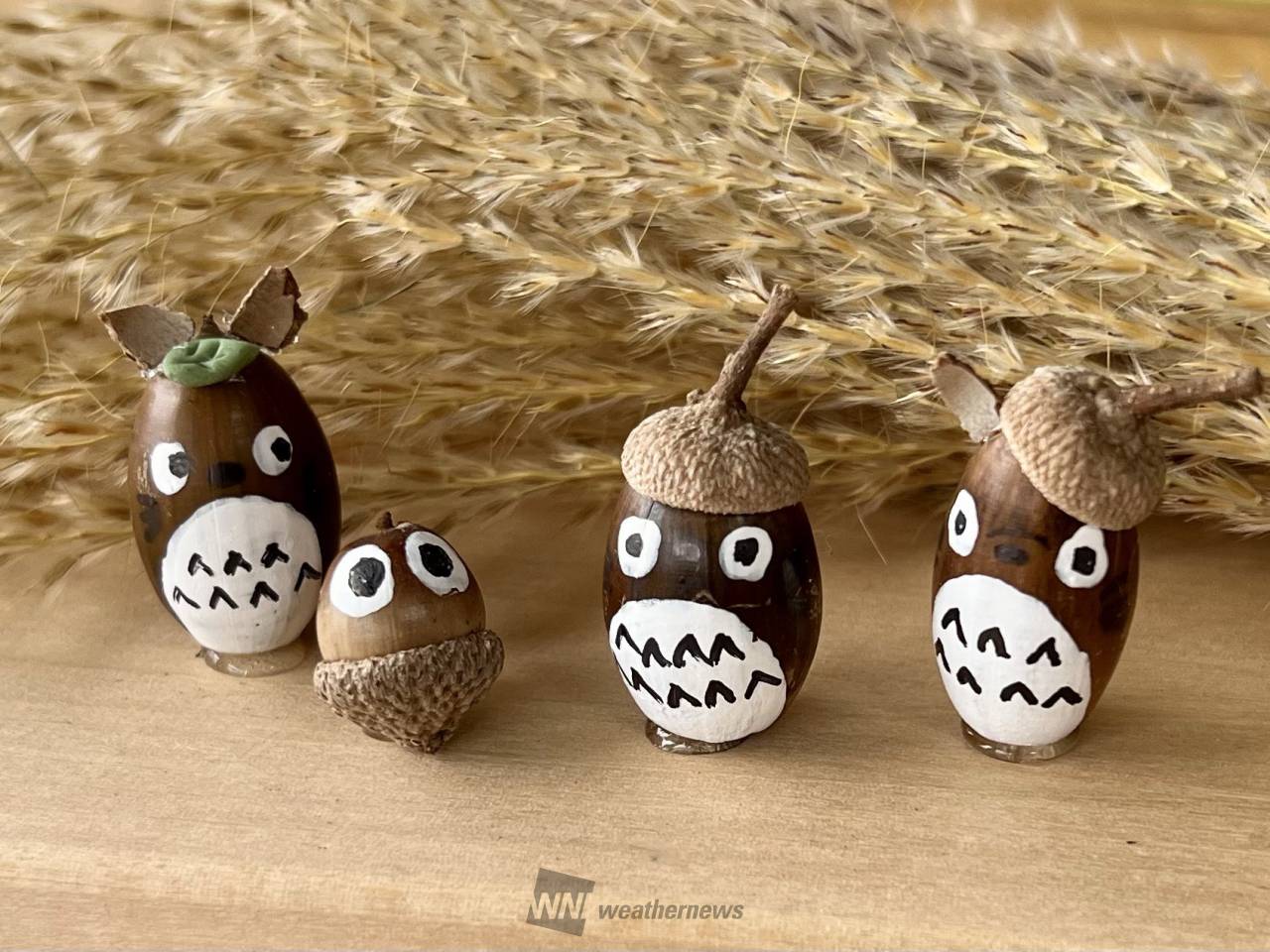 どんぐり発見！ 注目の空の写真 ウェザーニュース