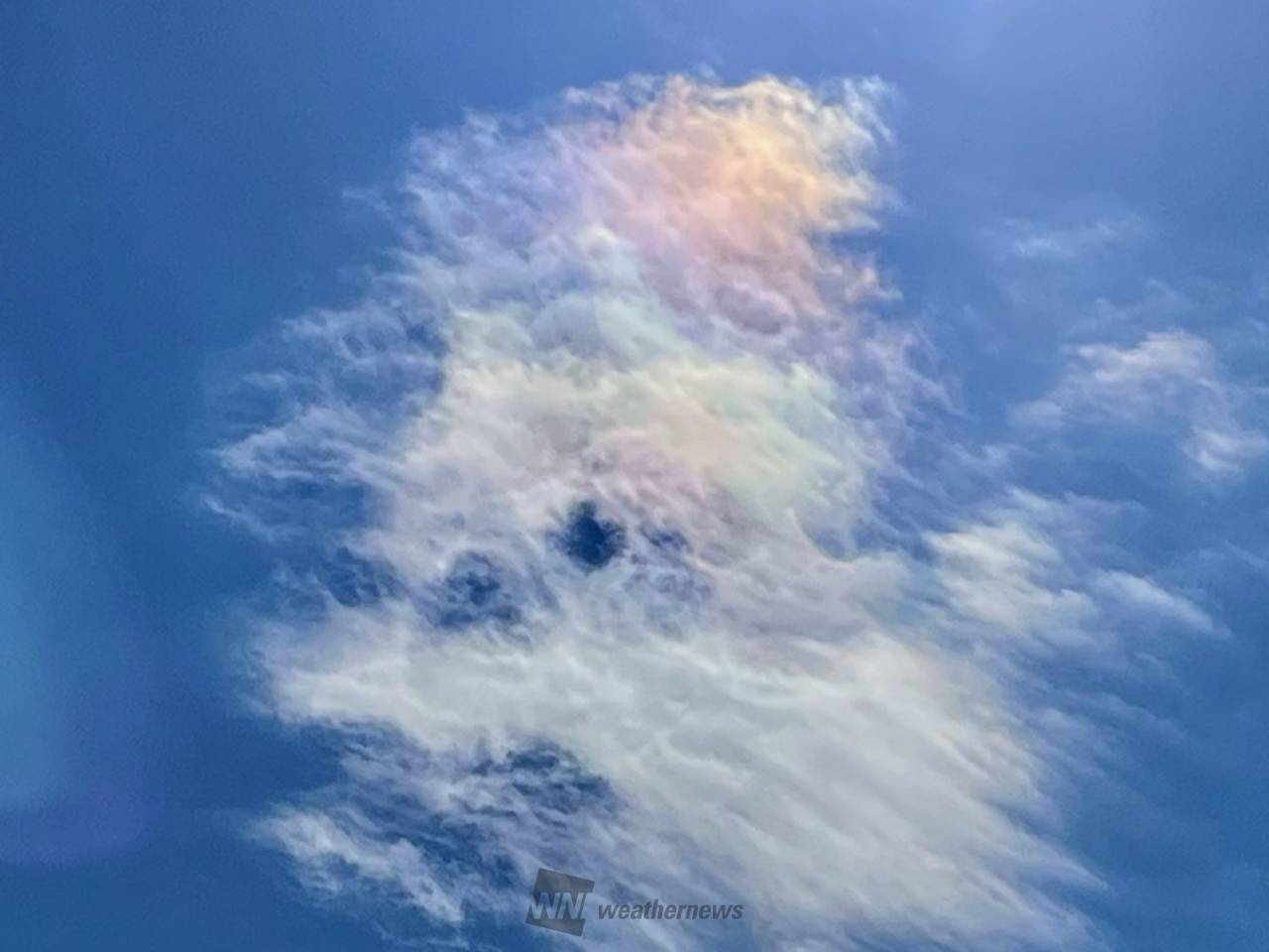 リコリス超レア品種「彩　雲」 リコリス超レア品種「彩 雲」 リコリス超レア品種「彩 雲」 リコリス