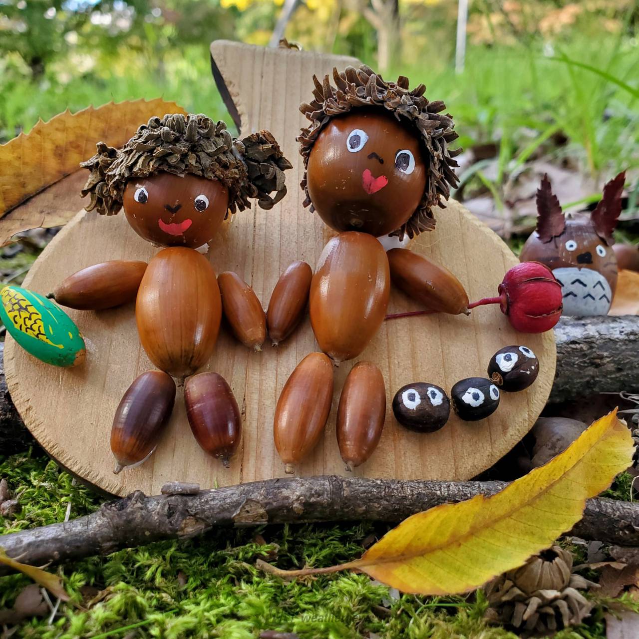 どんぐり発見！ 注目の空の写真 ウェザーニュース