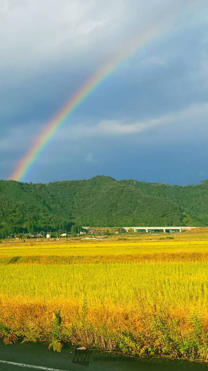 各地に虹が出現 注目の空の写真 ウェザーニュース