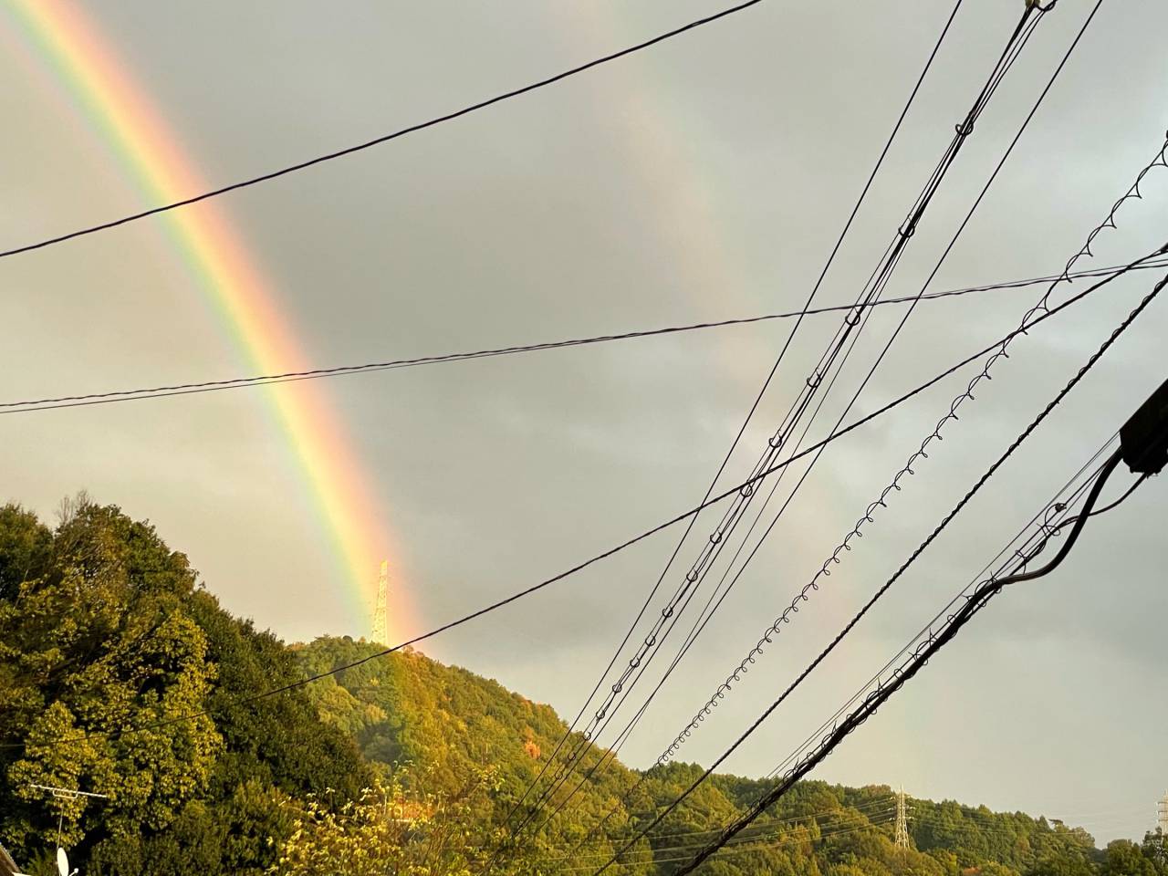 各地に虹が出現 注目の空の写真 ウェザーニュース