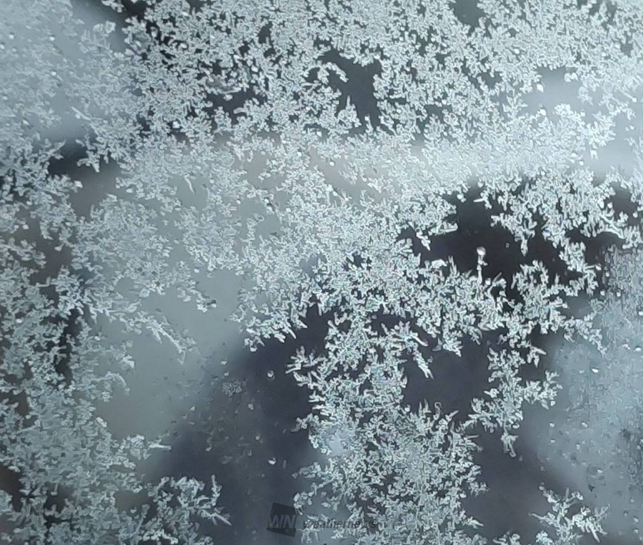 霜の華 ꕤ୭* ...