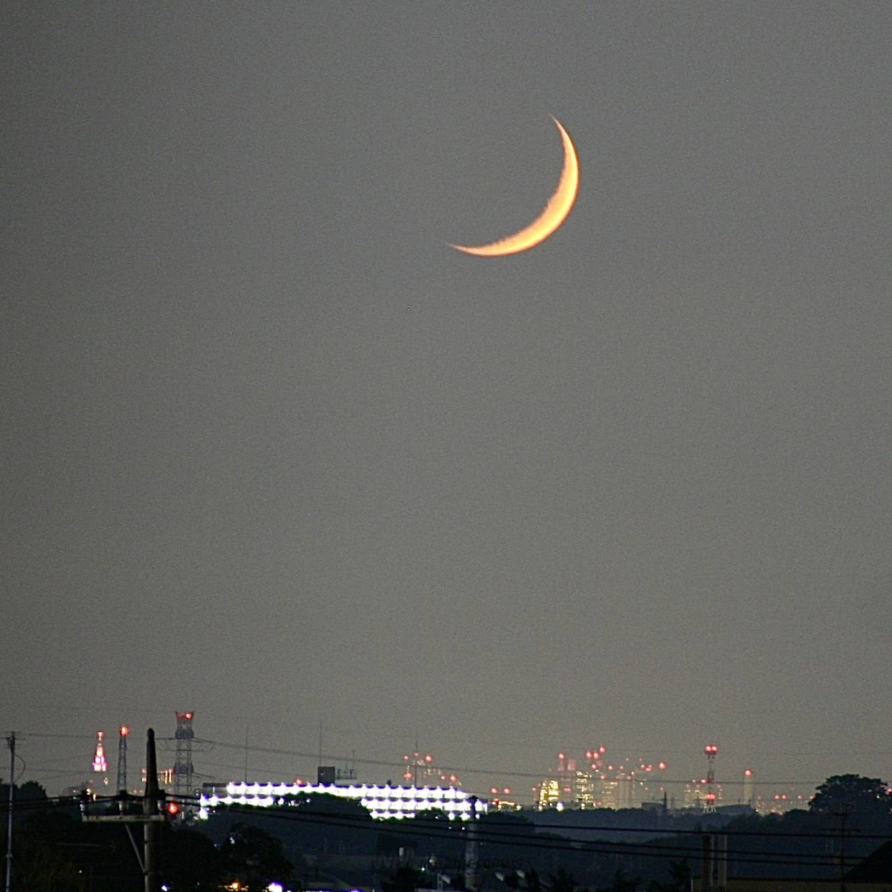 ネウページ　天月 1983 Nissan 280ZX Base with 17x9 JNC Jnc010 and Nankang 235x40 on