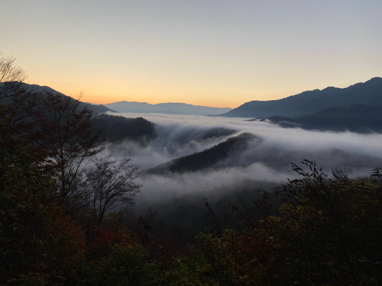 幻想的な朝の風景 注目の空の写真 ウェザーニュース