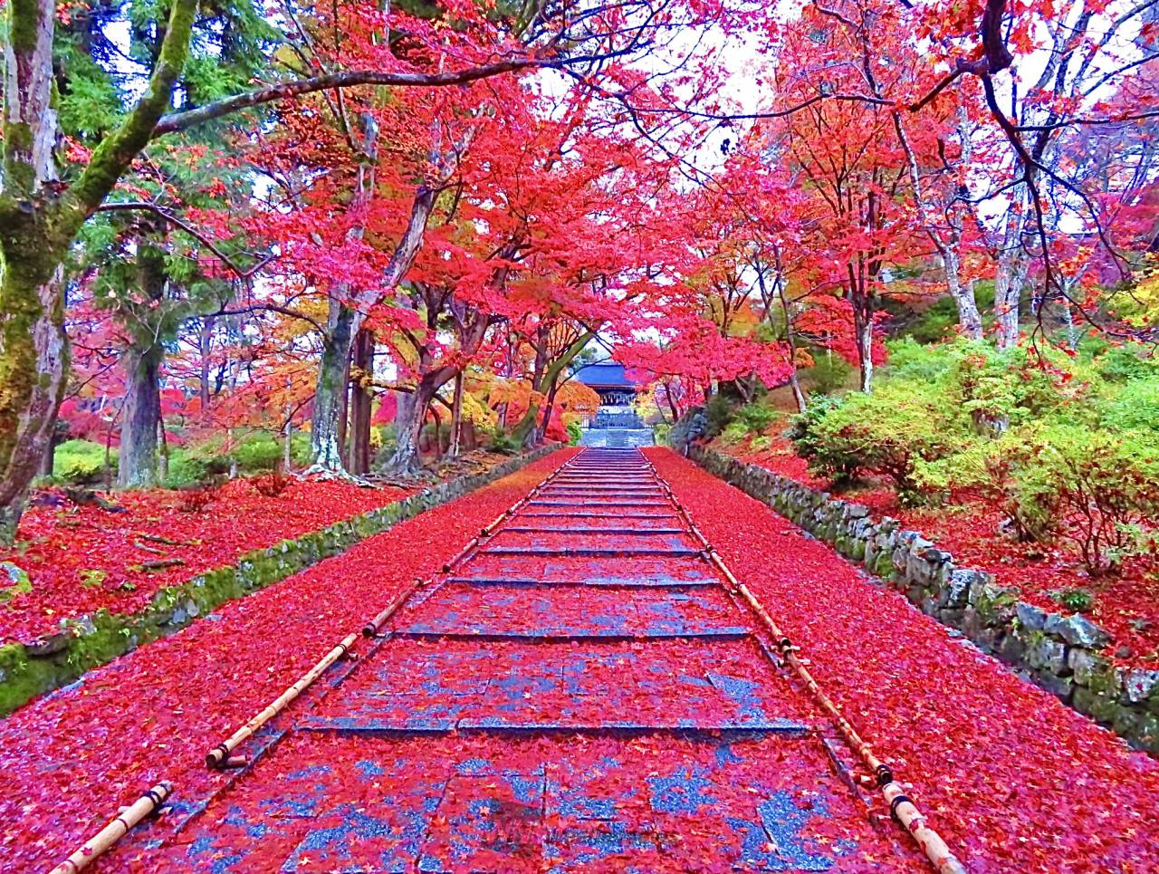 日本の秋を錦色に染める 紅葉絶景写真館 注目の空の写真 ウェザーニュース
