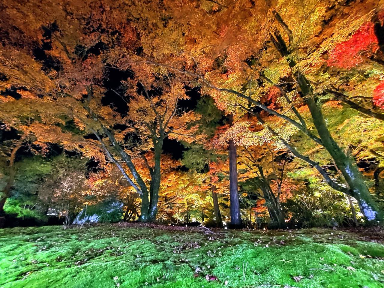 日本の秋を錦色に染める 紅葉絶景写真館 注目の空の写真 ウェザーニュース