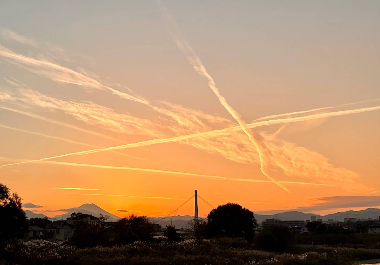飛行機雲 ✈️飛行機💨💨 見上げたらヒコウキ雲と変わったカラーの飛行機