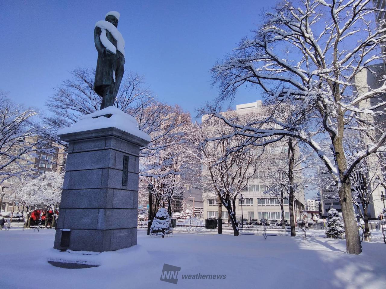 起きたら雪どっさり 注目の空の写真 ウェザーニュース