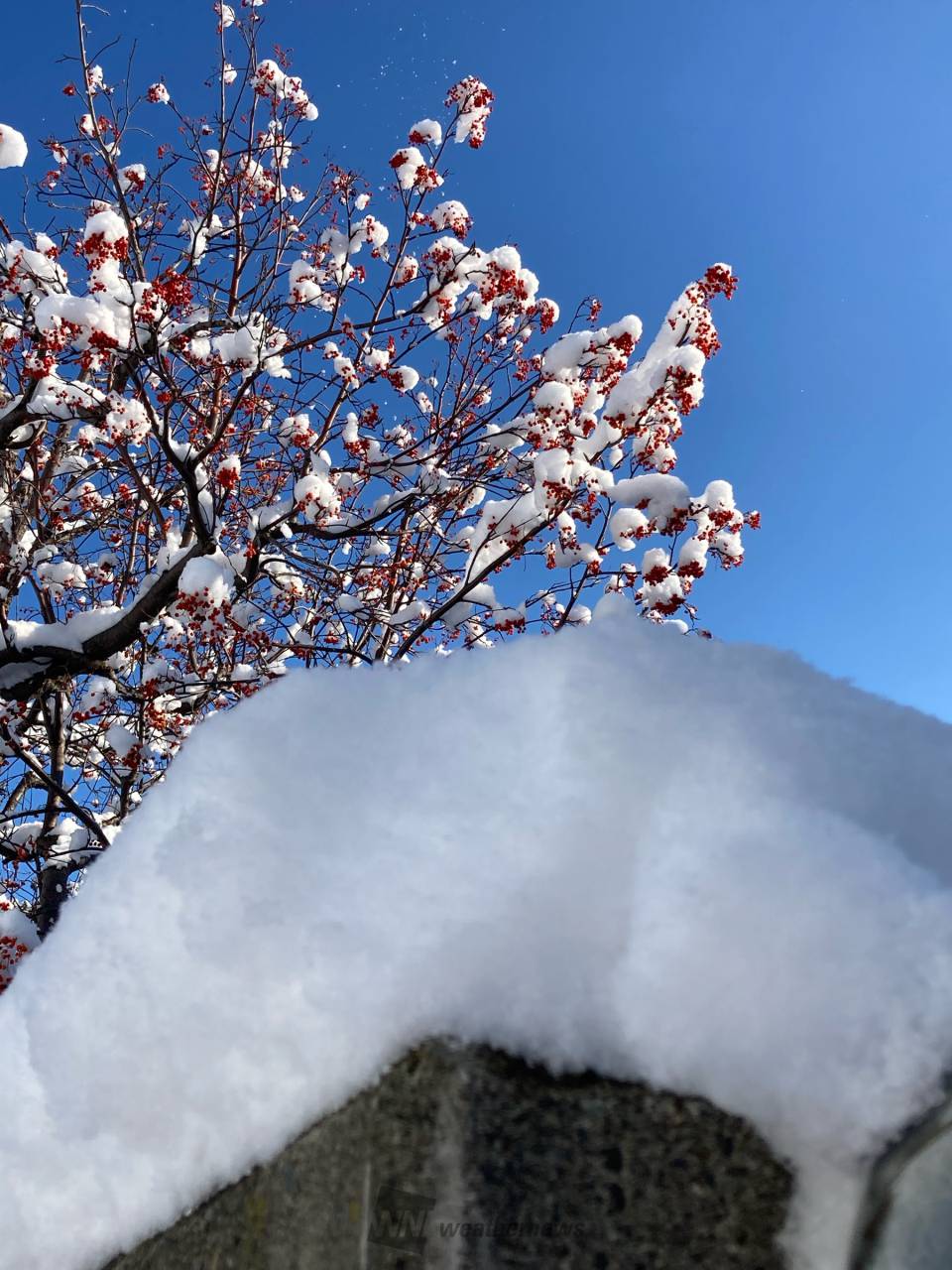 起きたら雪どっさり 注目の空の写真 ウェザーニュース
