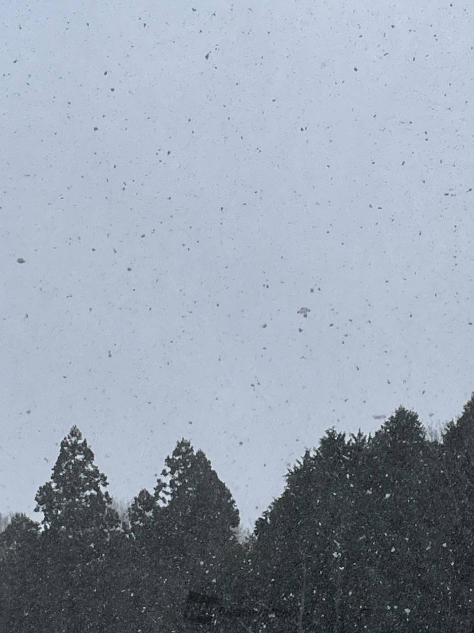 初雪ラッシュ／ 注目の空の写真 ウェザーニュース