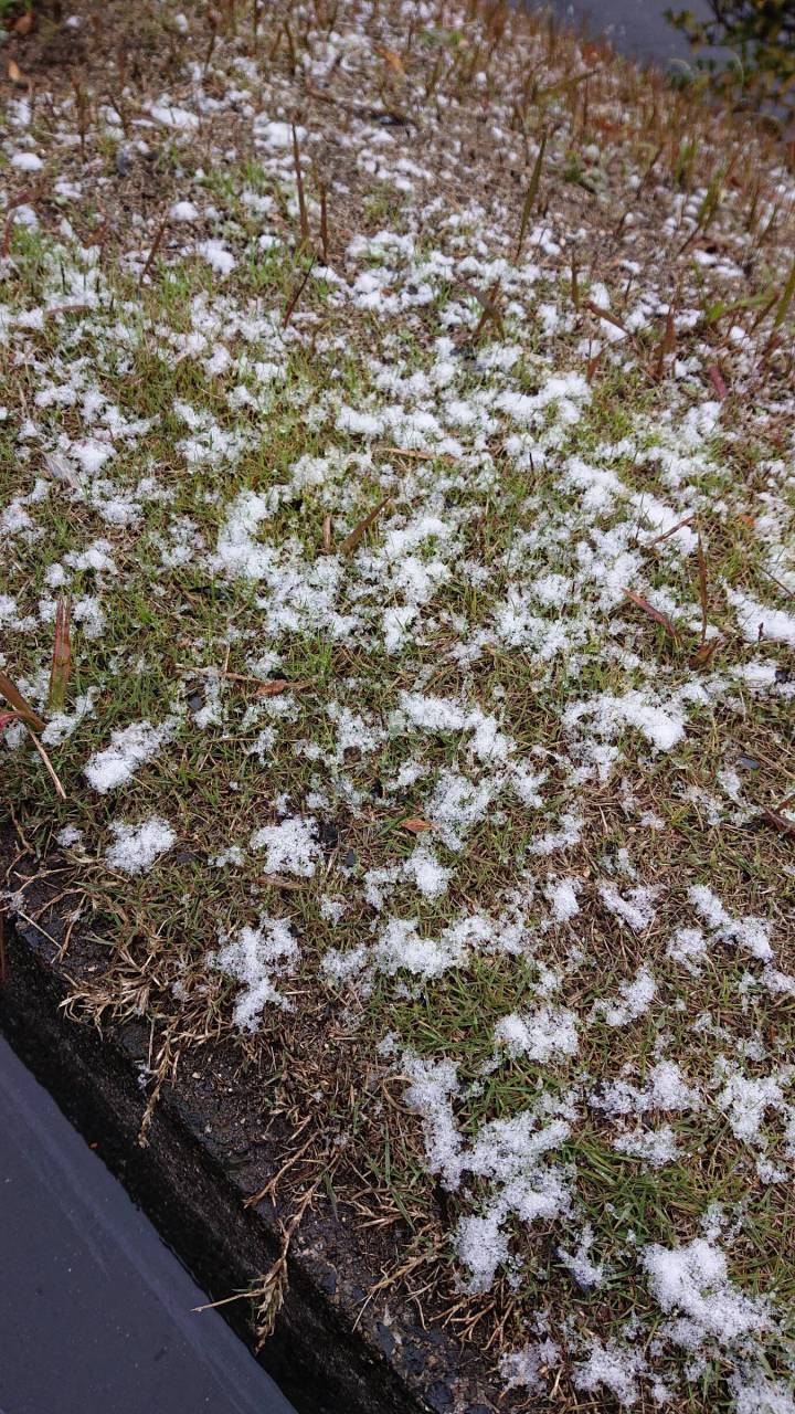 初雪ラッシュ／ 注目の空の写真 ウェザーニュース