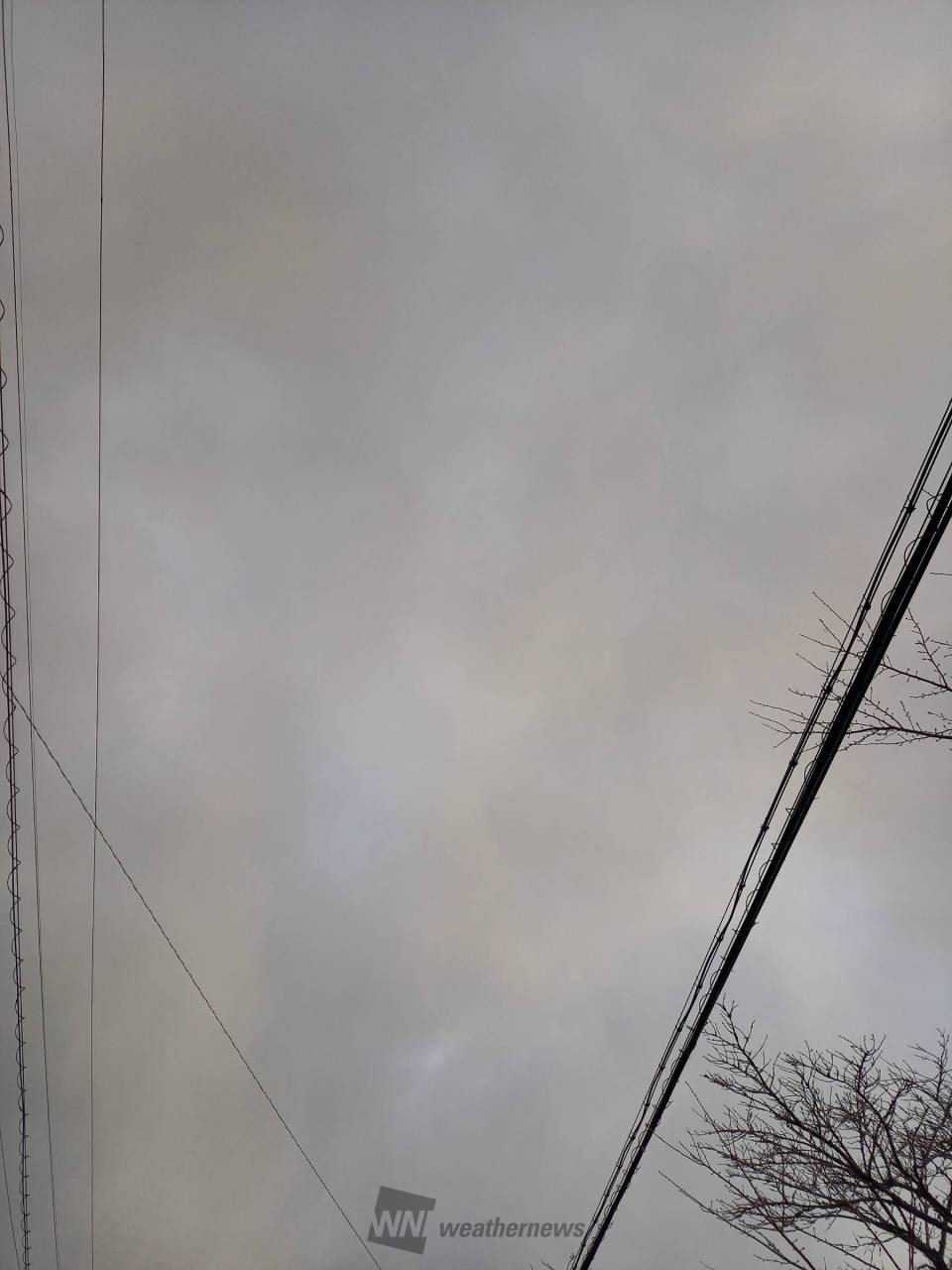 初雪ラッシュ／ 注目の空の写真 ウェザーニュース