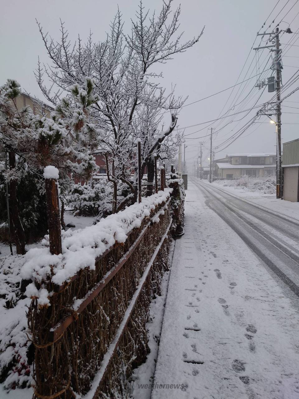 初雪ラッシュ／ 注目の空の写真 ウェザーニュース
