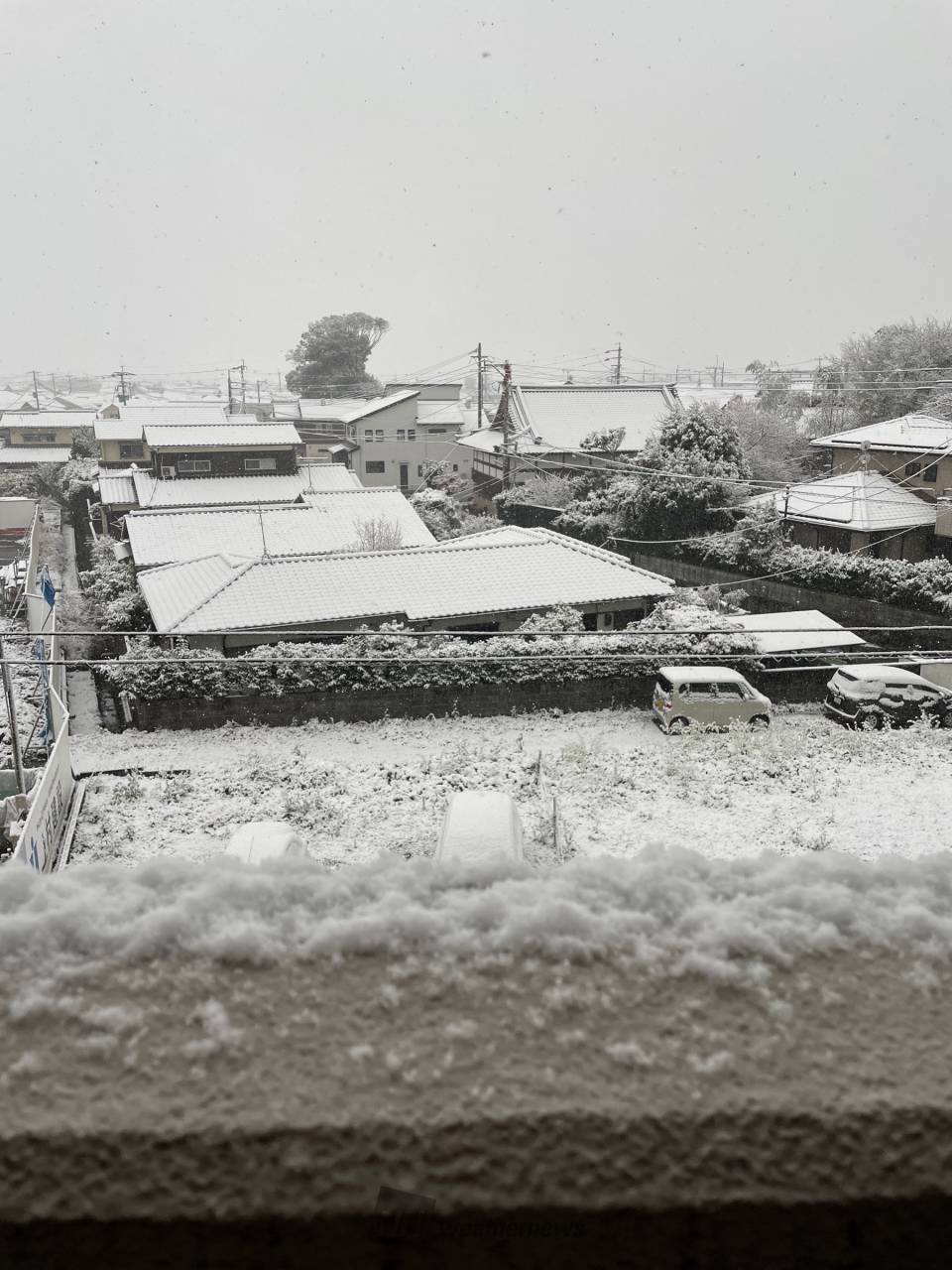 初雪で積雪も！ 西日本の雪の様子 注目の空の写真 ウェザーニュース