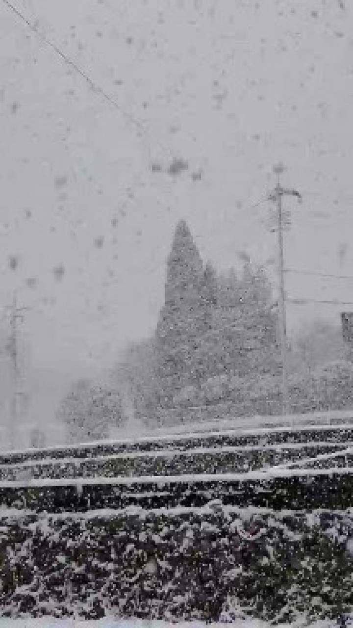 初雪で積雪も！ 西日本の雪の様子 注目の空の写真 ウェザーニュース