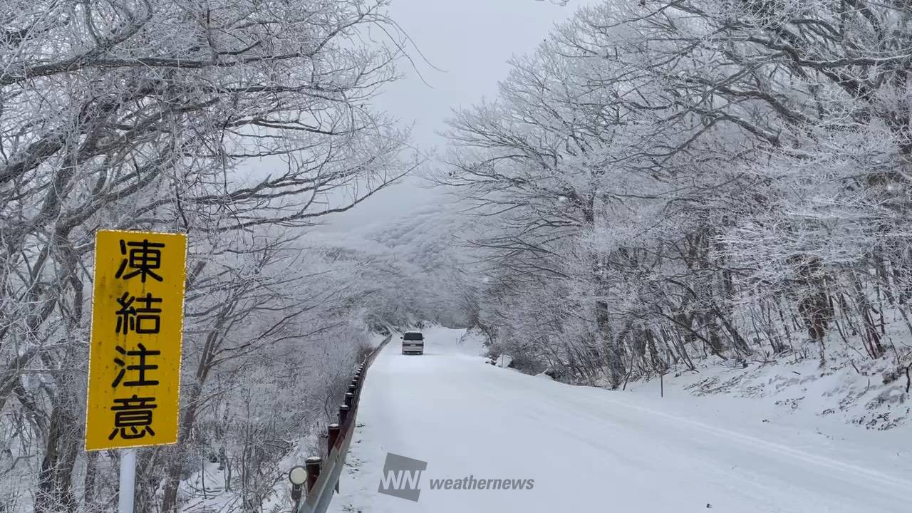 初雪で積雪も！ 西日本の雪の様子 注目の空の写真 ウェザーニュース