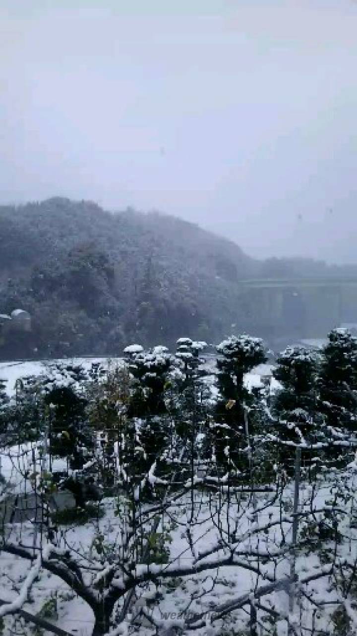 初雪で積雪も！ 西日本の雪の様子 注目の空の写真 ウェザーニュース