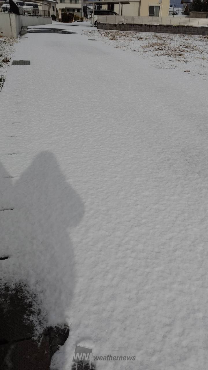 朝から積雪現在、...