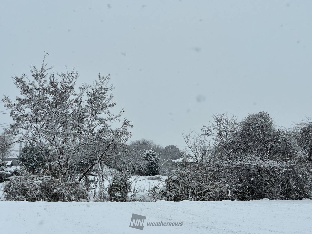 北関東で積雪 埼玉など一部で雪も 注目の空の写真 ウェザーニュース