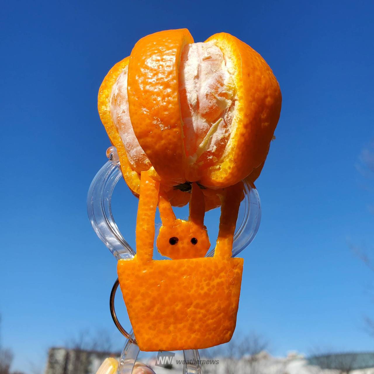 みかんの皮で作ろう♪ 注目の空の写真 ウェザーニュース