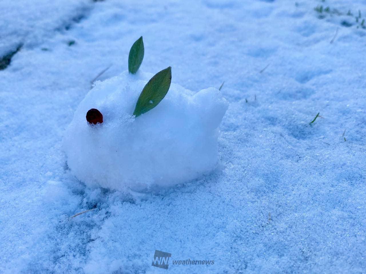 作ってみた！雪だるま 注目の空の写真 ウェザーニュース